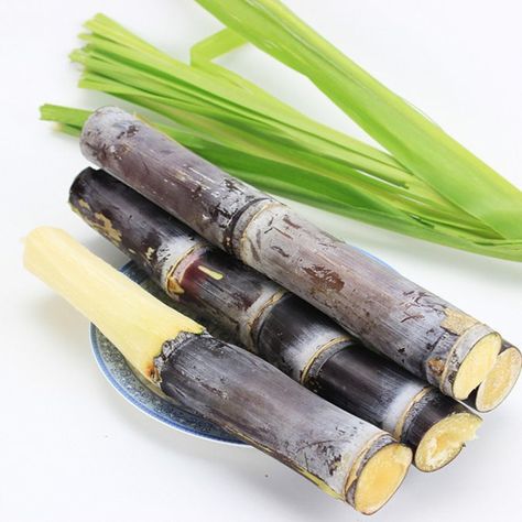 Gambar Tebu Hitam